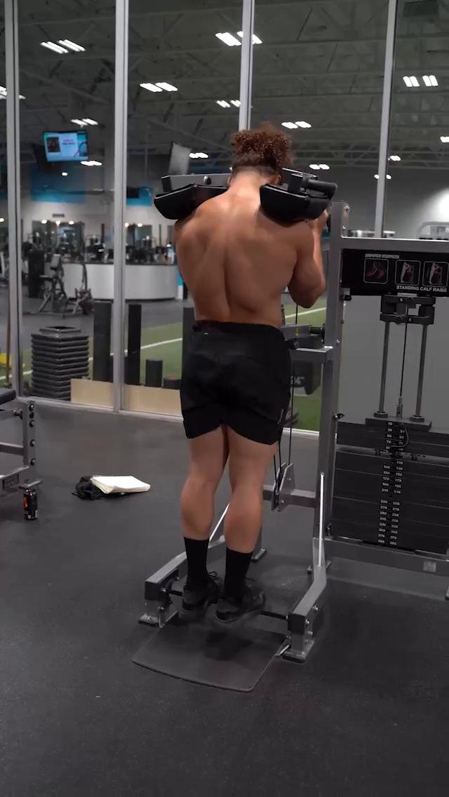 Legs 