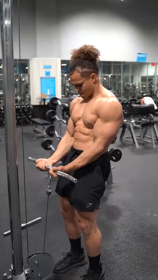 - Arms