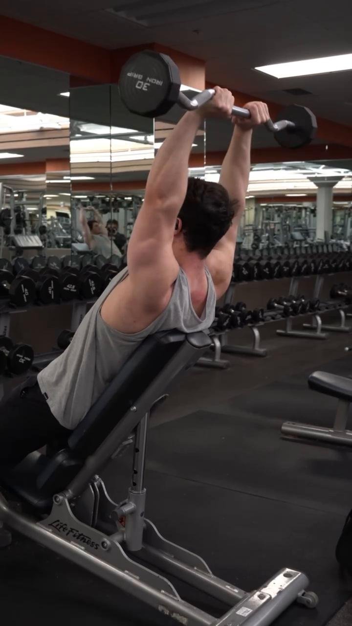 Arms | Rear Delts | Abs