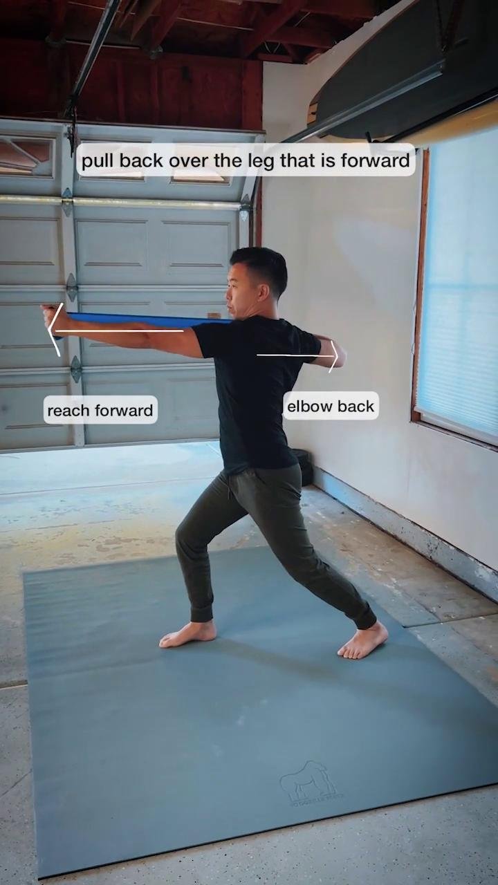 Shoulders / Chest 5 (Lvl2)