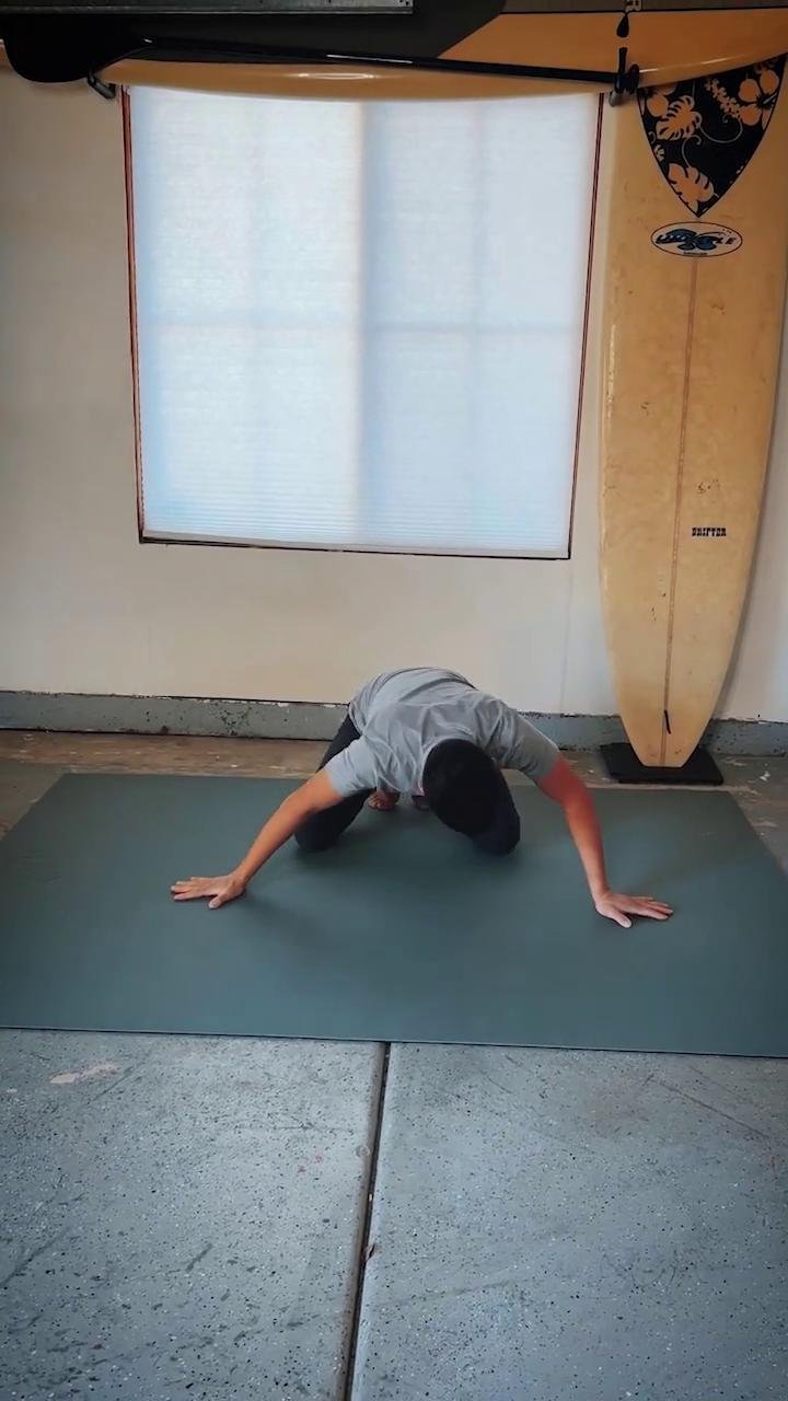Shoulders / Chest 2 (Lvl2)