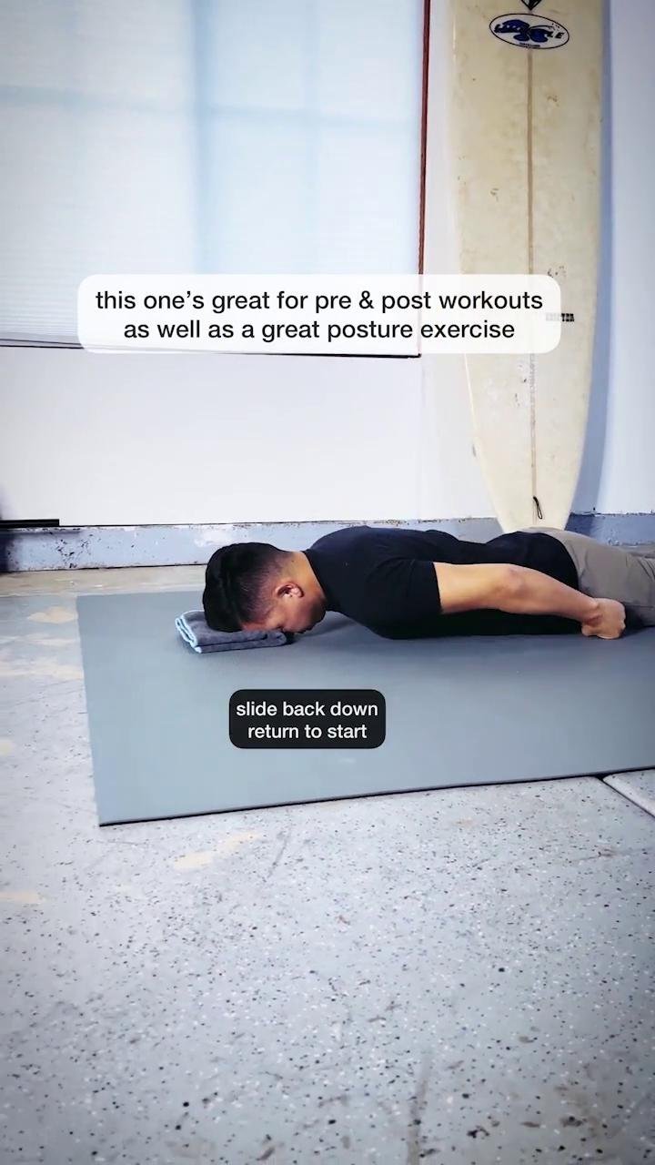 Shoulders / Chest 1 (Lvl3)