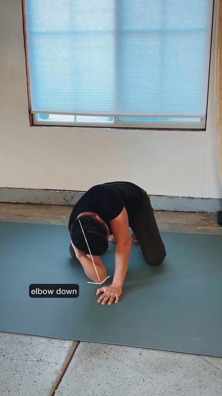Shoulders / Chest 3 (Lvl1)