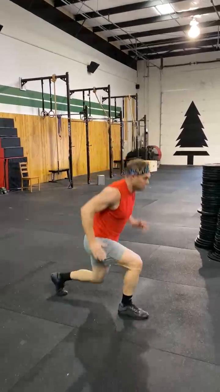 W1/D1