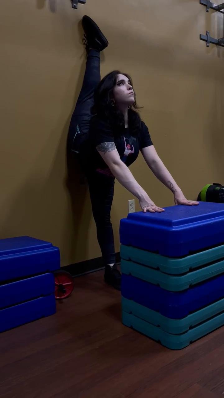 LEG AND HIP FLEXOR MOBILITY