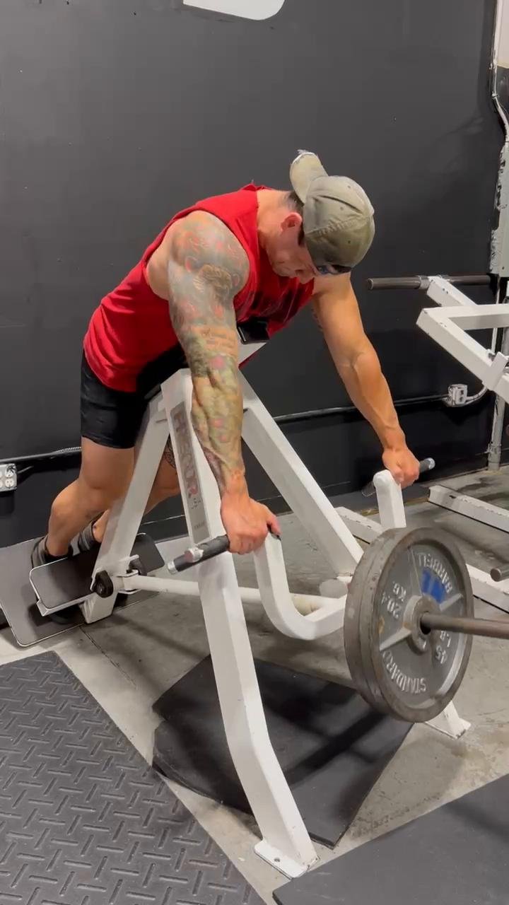 Back & hint of bi’s