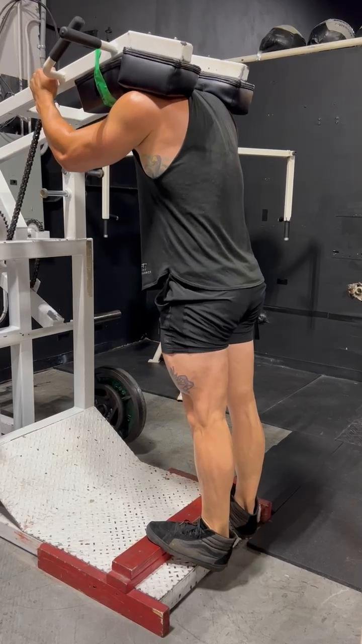 Quad/hamstring/glutes