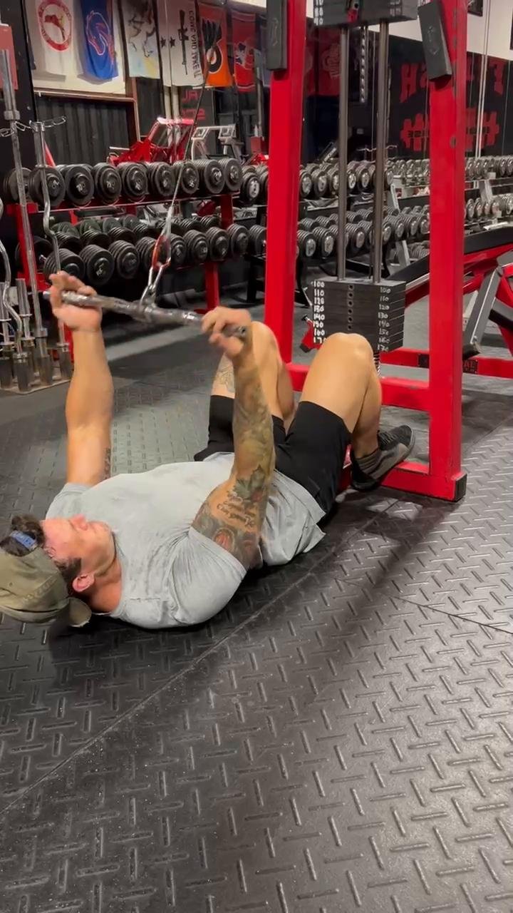 Arms/Shoulders