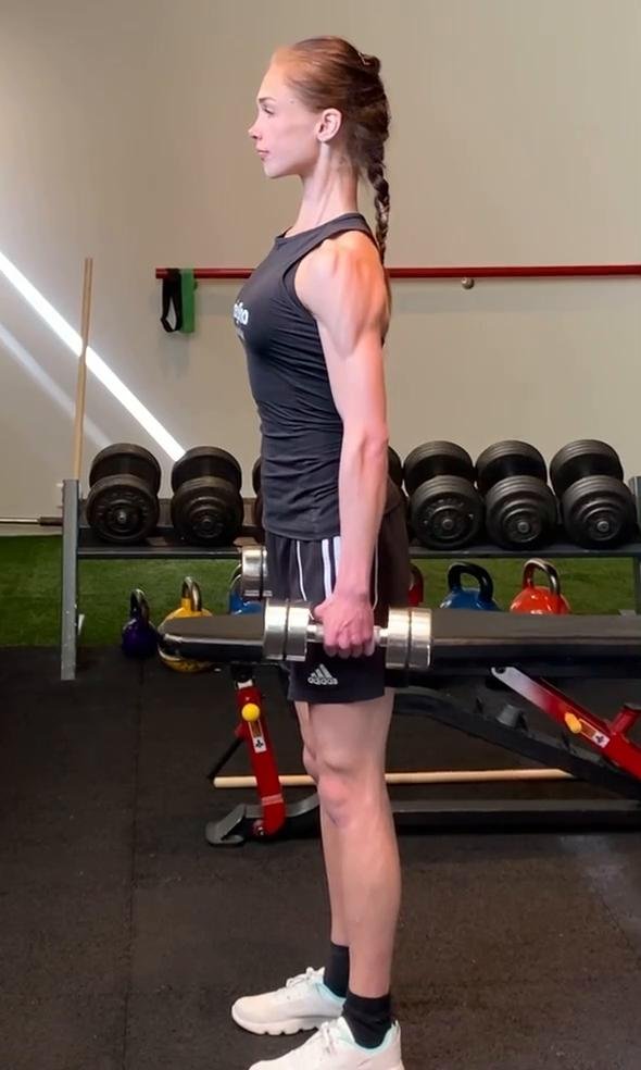 MUSCLE BUILDING Upperbody - Workout 2