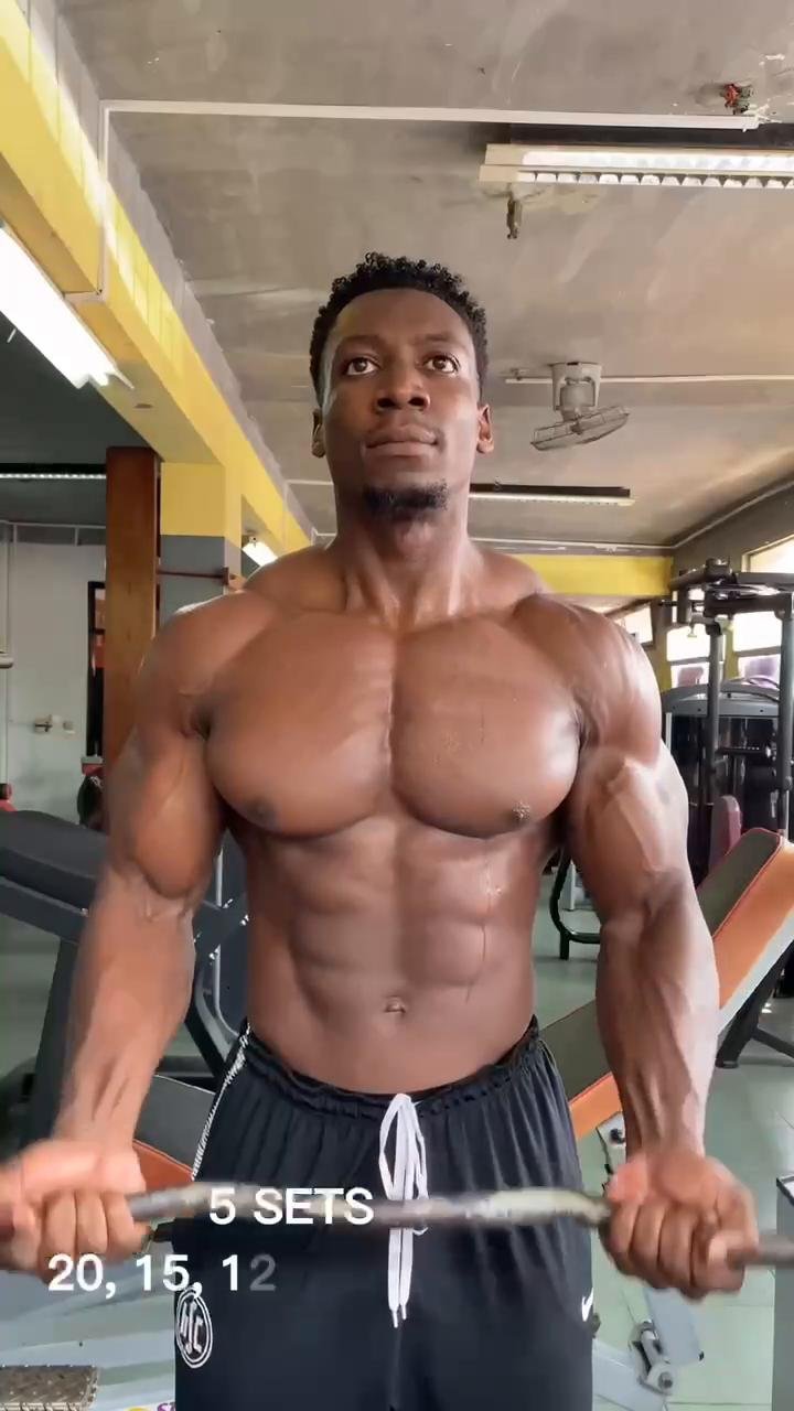 Arms