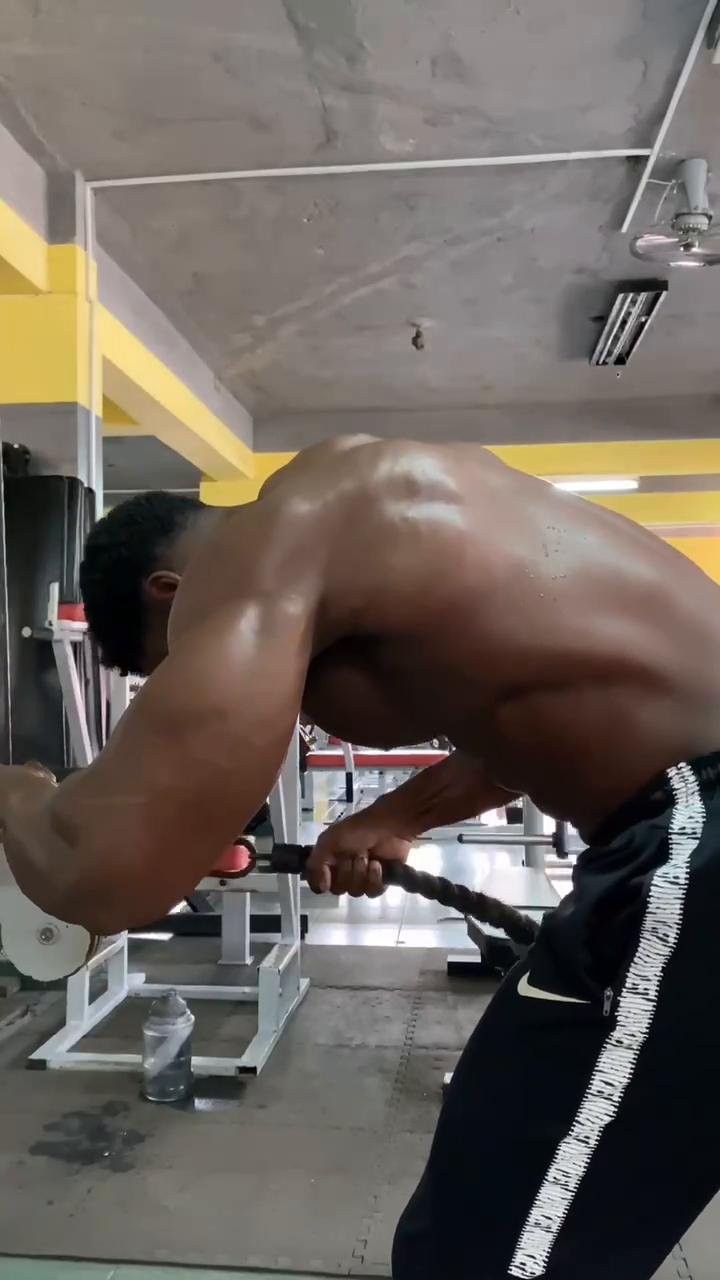 Arms