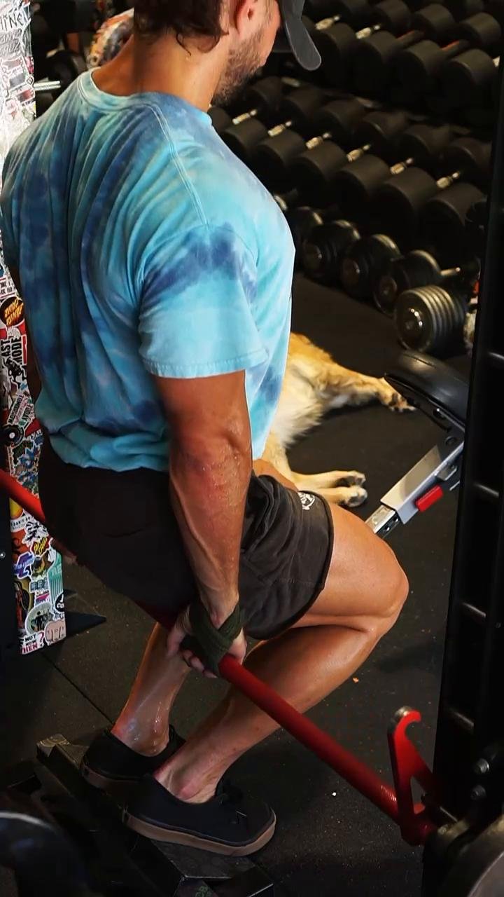 Quads/Adductors/Abductors (DAY 1 - 11/28)