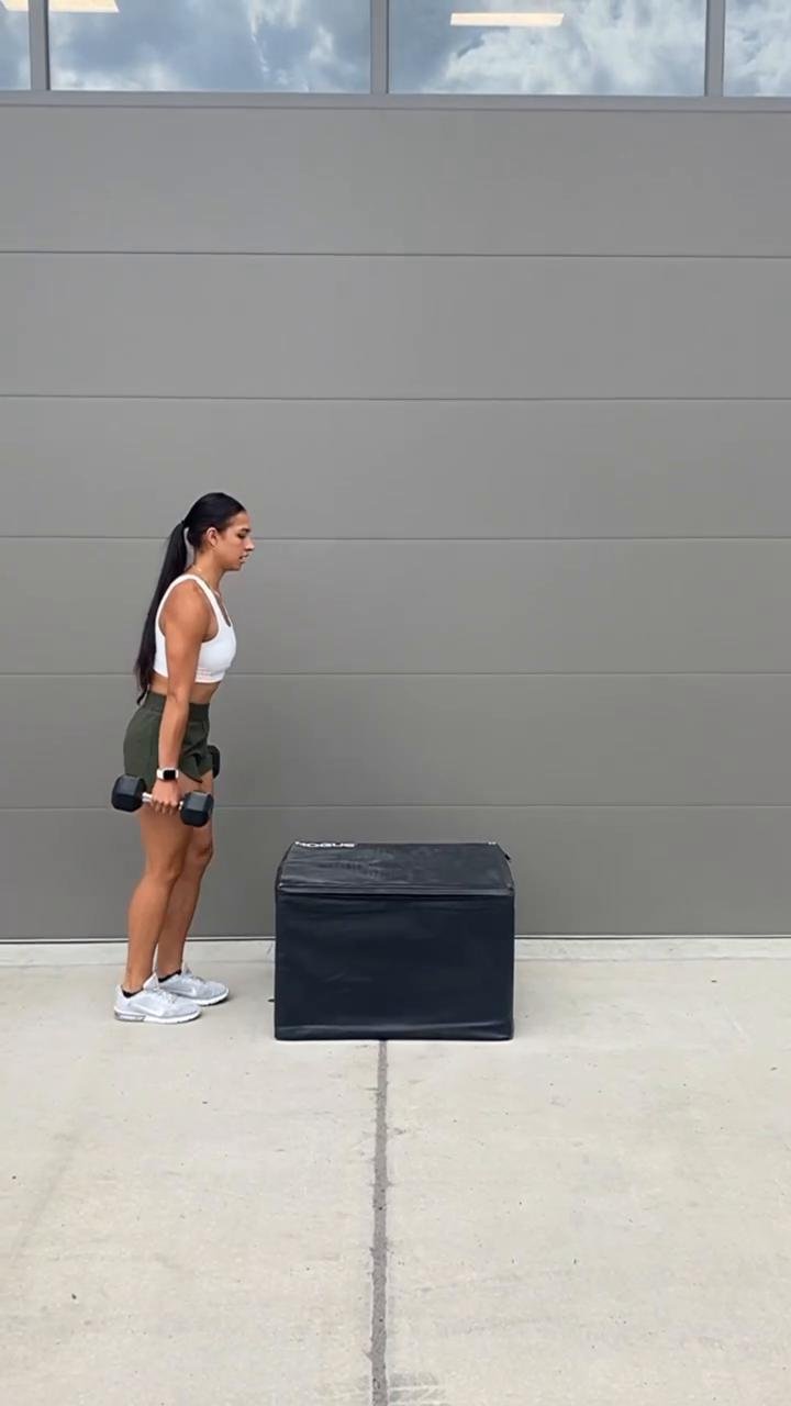 Full body- Dumbbell training P1