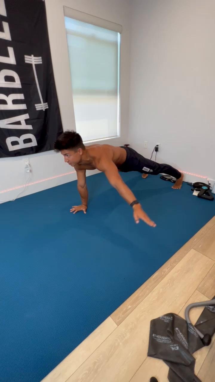 Intro to plank stability