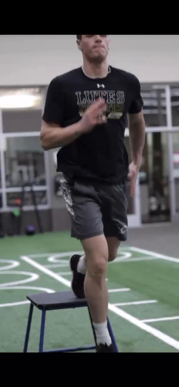 Lower / Plyo