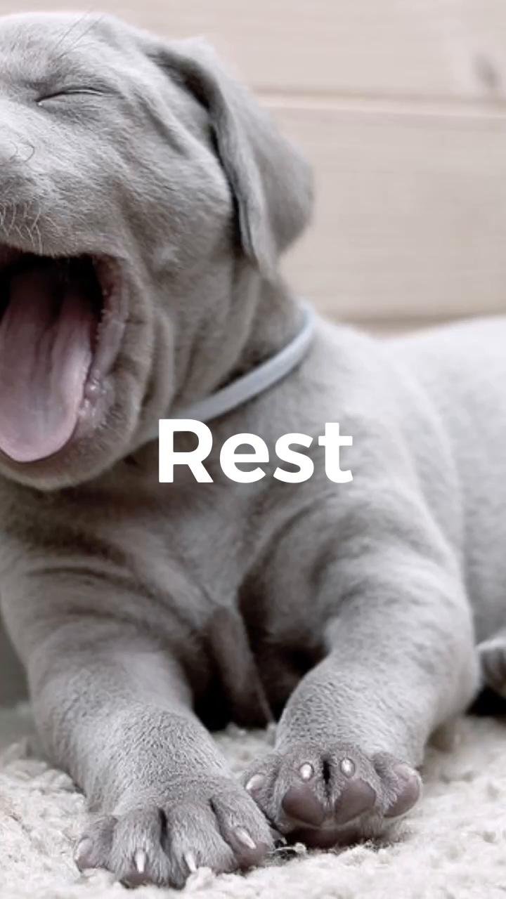 Rest Day