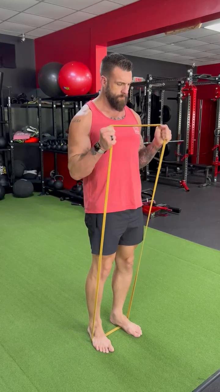 Day 4 - Biceps