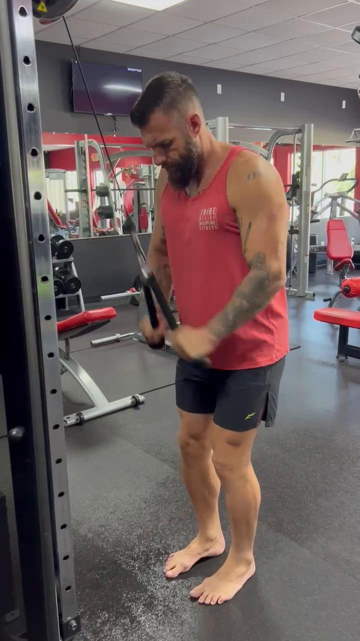 Day 2 - Triceps