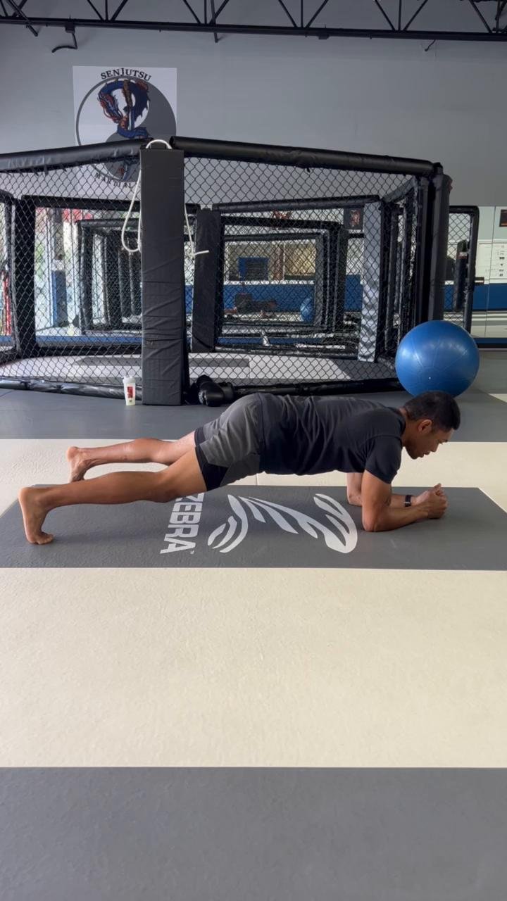 Plank Exercises