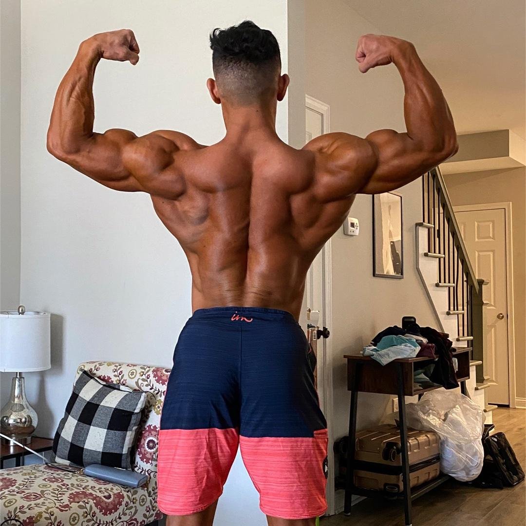 DAY 4 : BACK / REAR DELTS / ABs