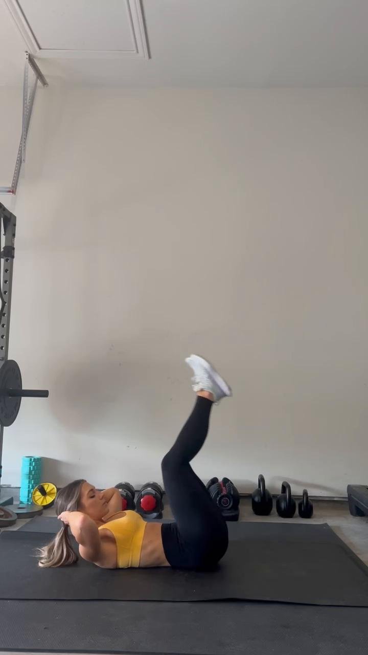 Back, Bi's, Rear Belts (Gym)