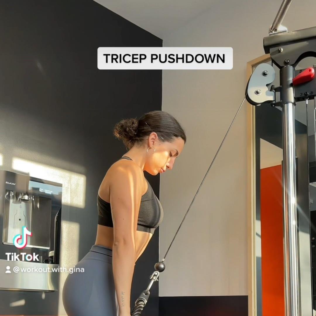 Tricep Push Downs