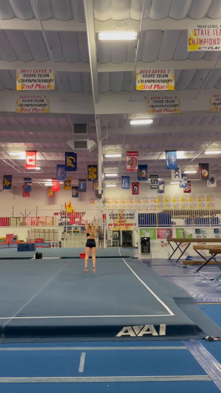 Gymnastics-Style Workout