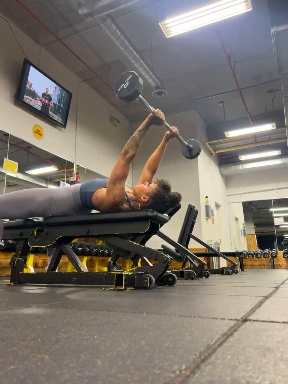 Defined Back and Triceps