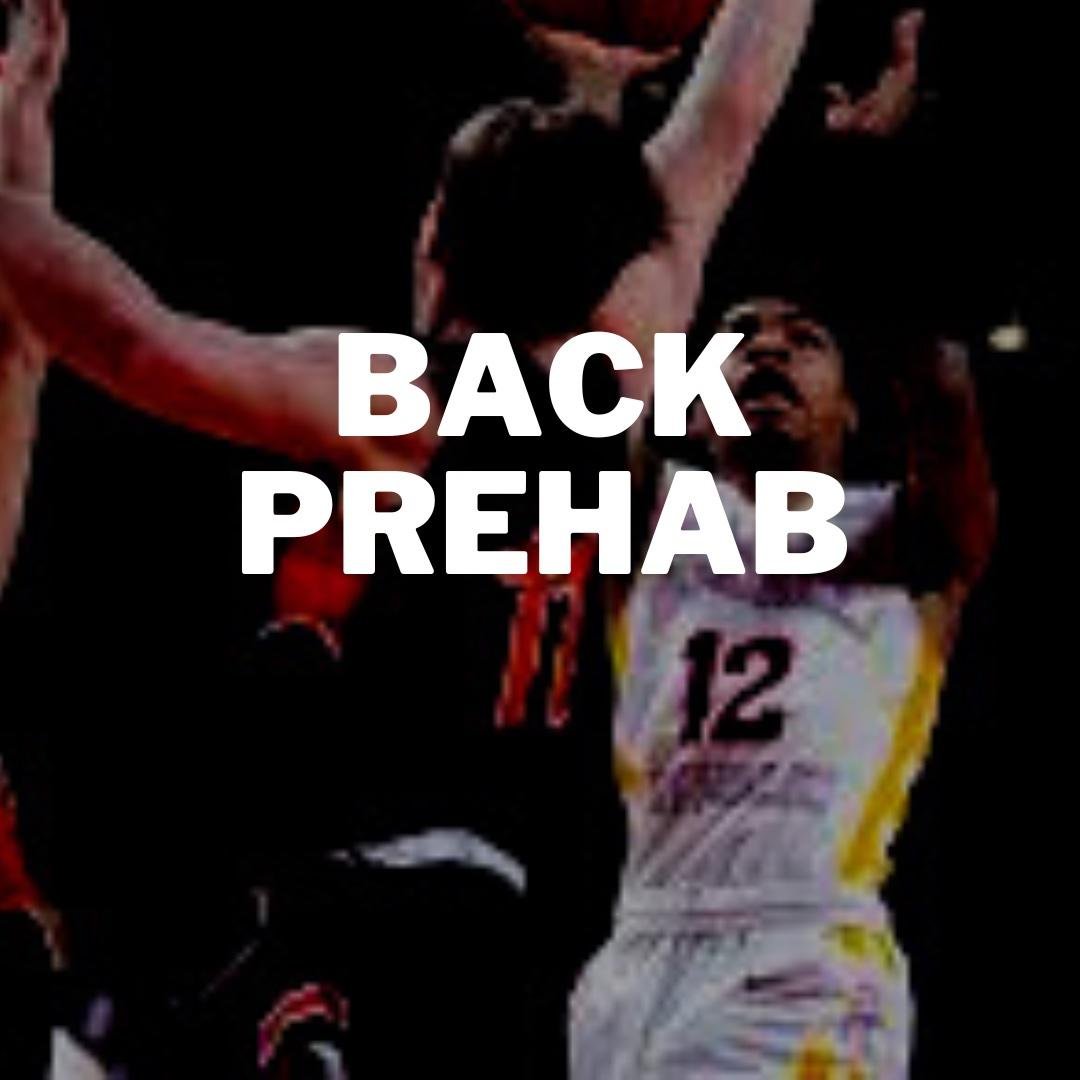 Back Prehab Exercises