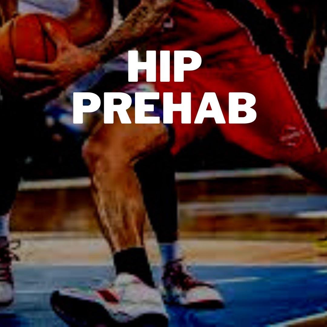 Hip Prehab Exercises