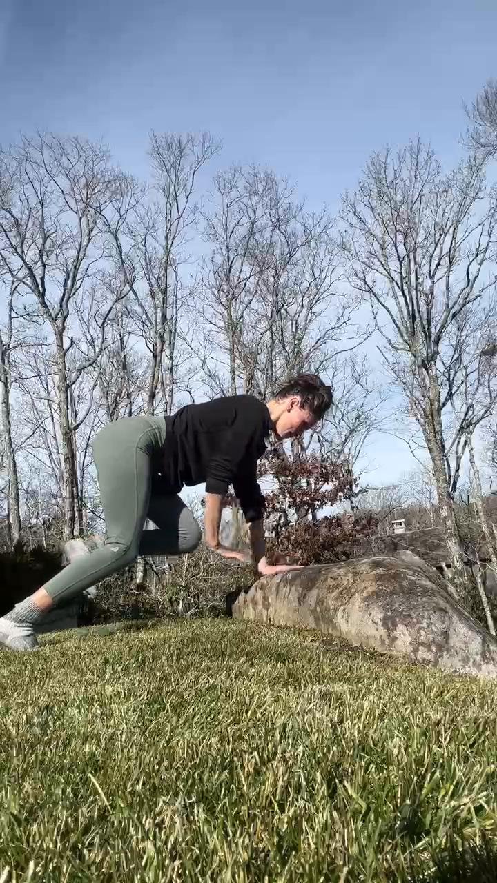Body weight step circuit