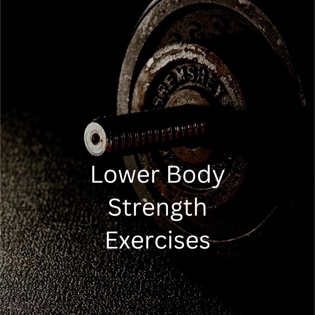 Lower Body Strength Exercises