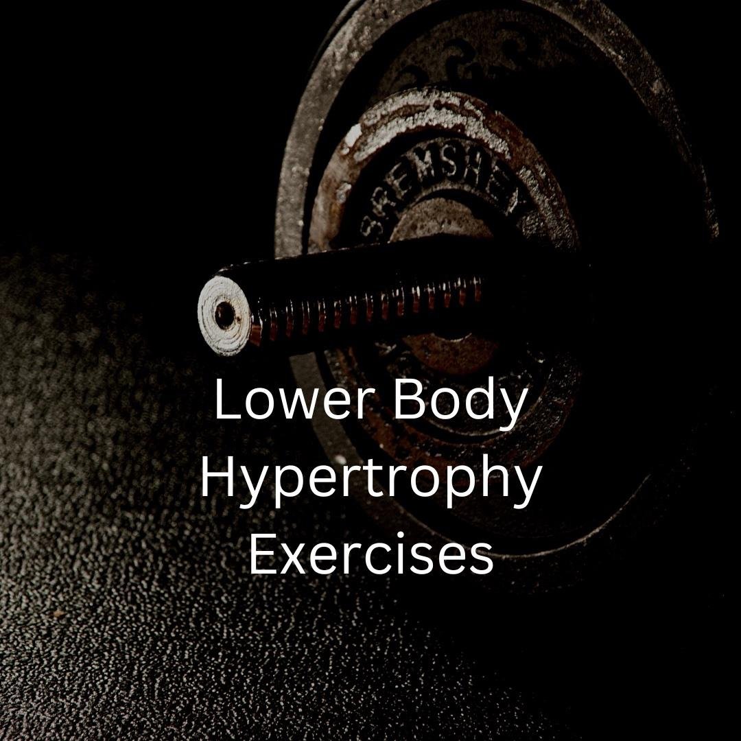Lower Body Hypertrophy Exercises