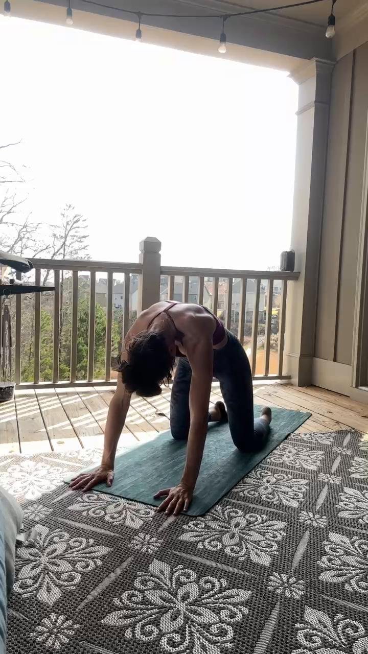 Mobility circuit (thoracic + hips)