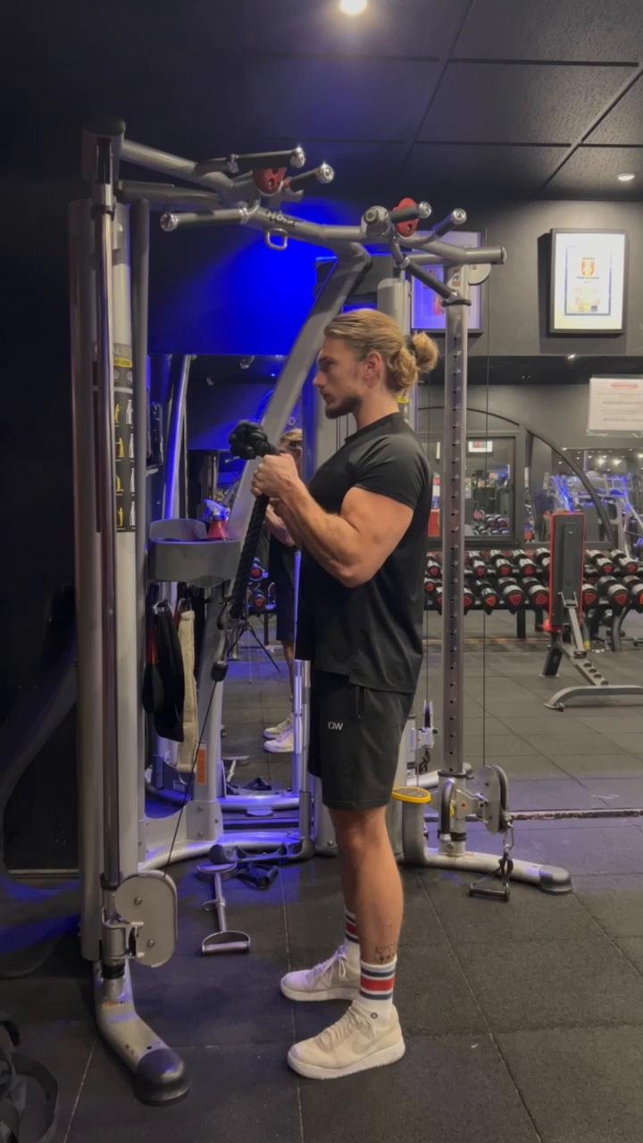 W1 / D2: SHOULDERS & ARMS