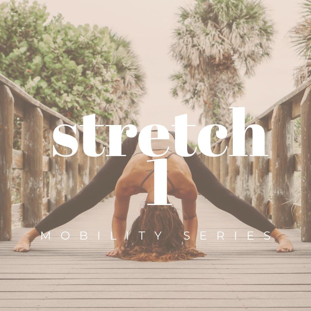 Full Body Stretch 1