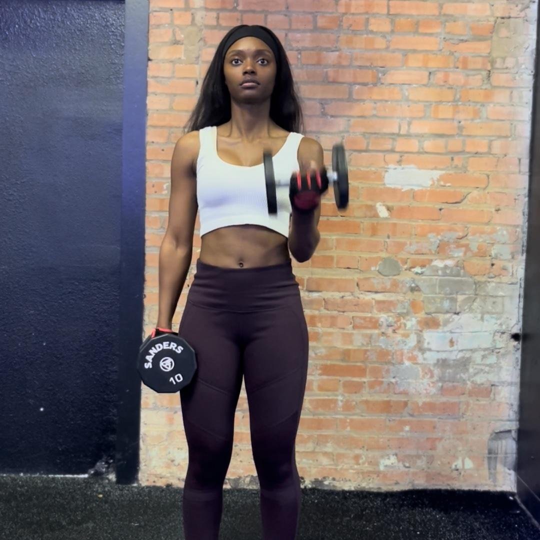 Upper Body (Beginner)