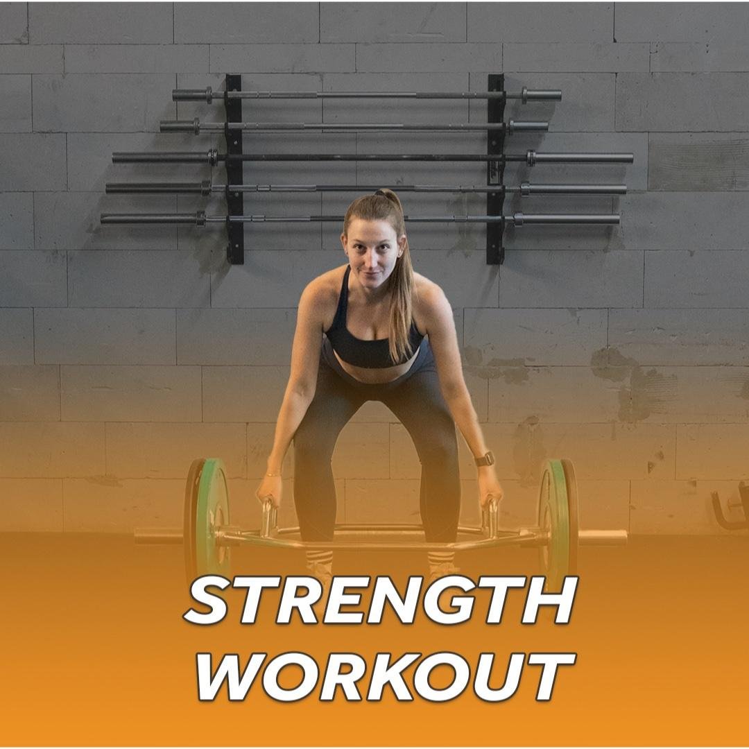 Full Body Strength (B) + ABS Finisher