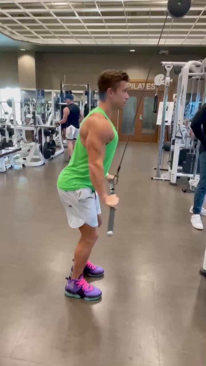 D2 BACK & TRICEPS