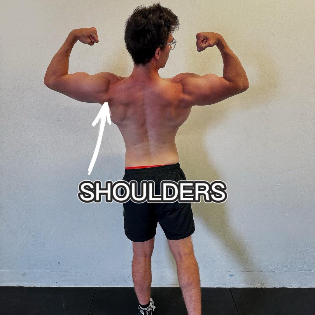 GROW YOUR SHOULDERS