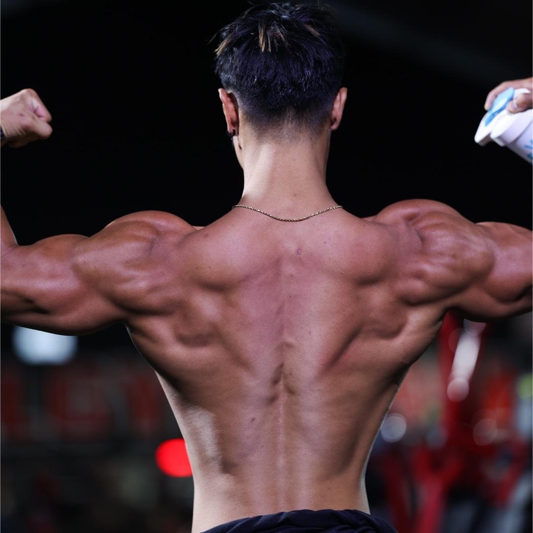 Day 2: Back, Biceps, & Abs