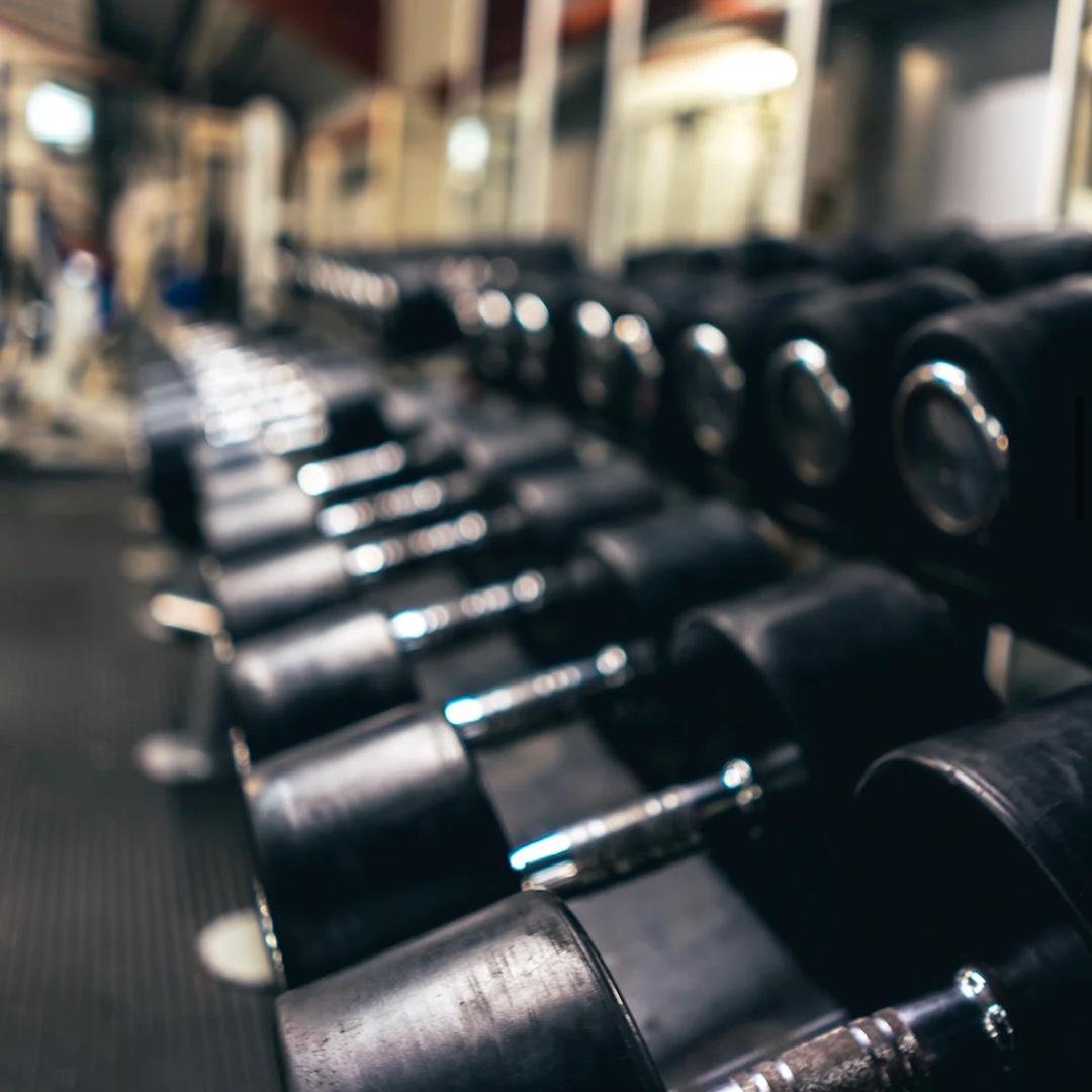 Track Session + Shoulders/Arms