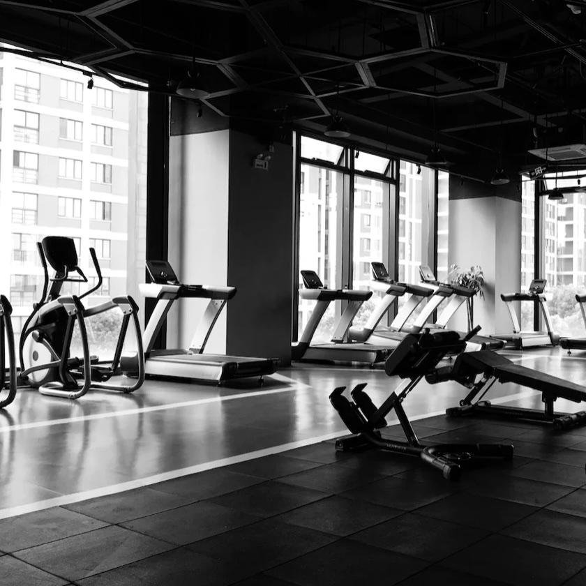 LSD Run + Recovery/Mobility