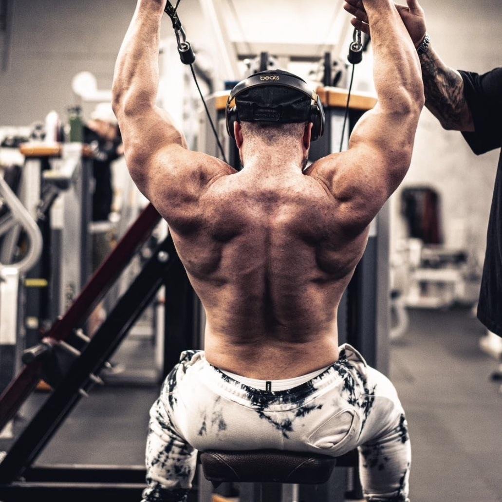 Back and Biceps 🦾