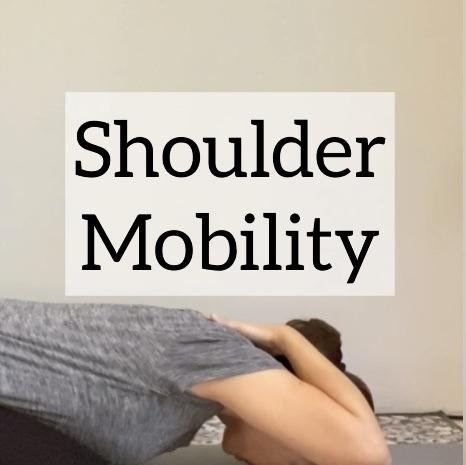 Shoulder & Scapular Mobility Series
