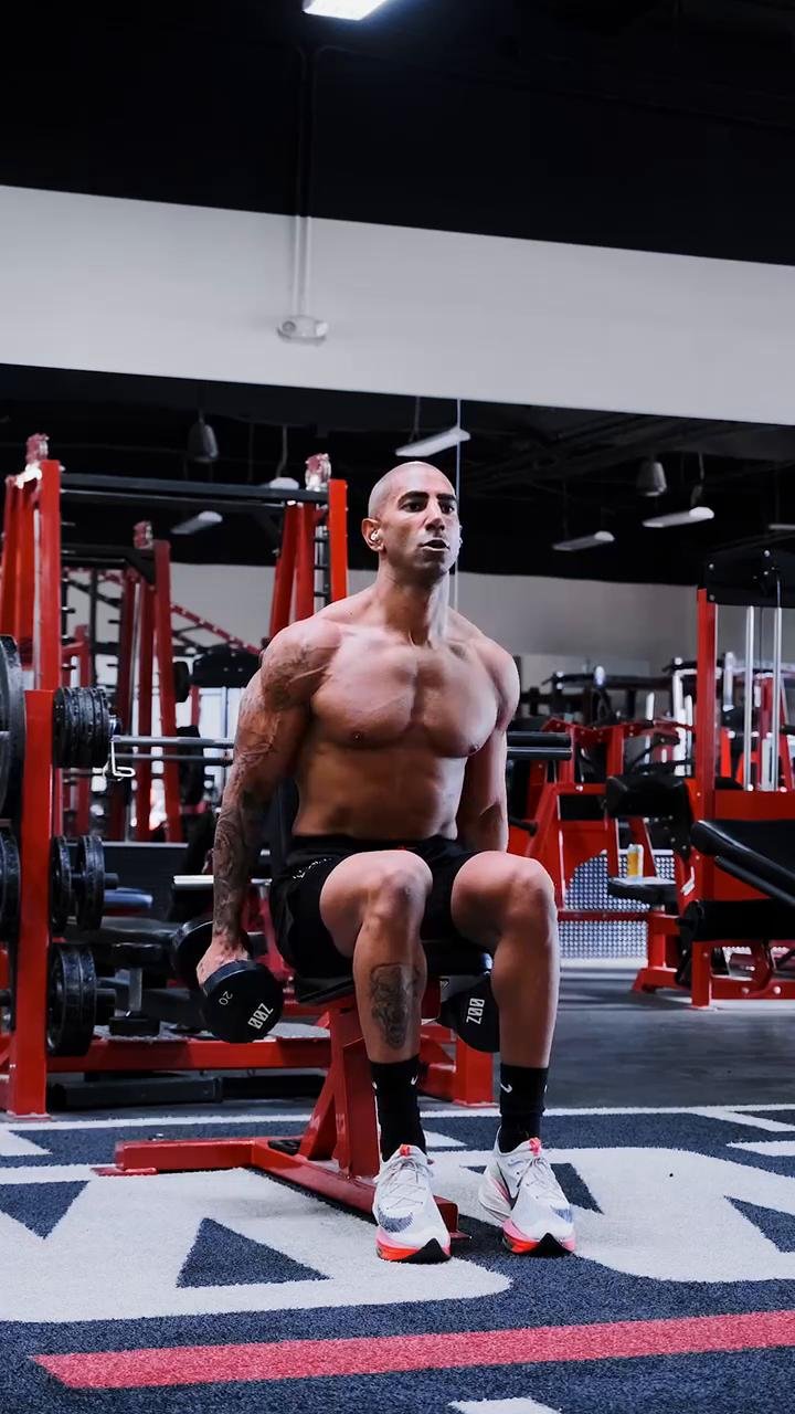 Shoulders