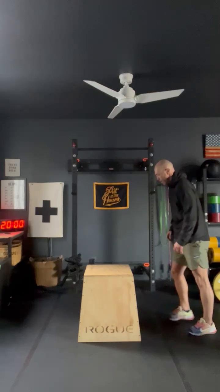 D1 FULL BODY W1/D1