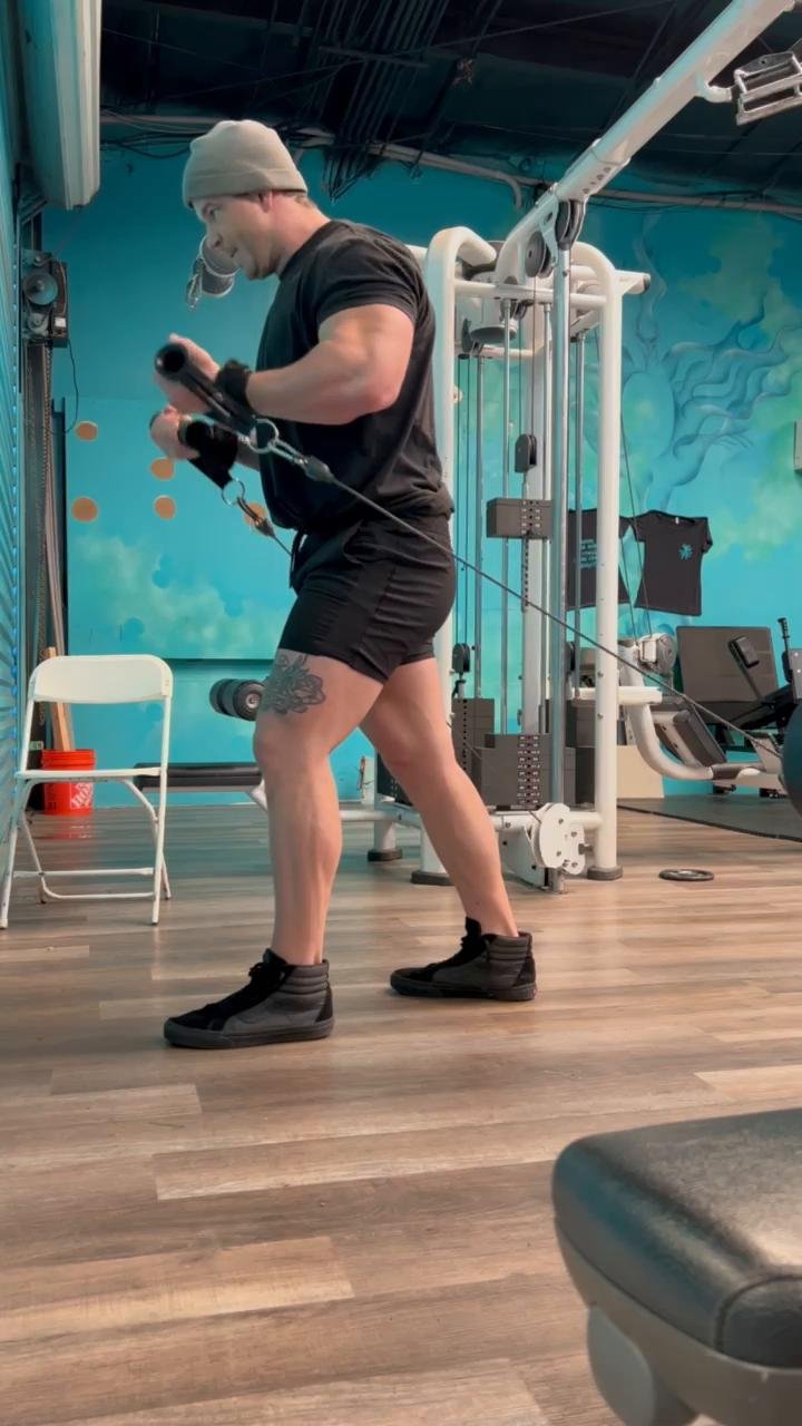 Arms/Abs | Day 4