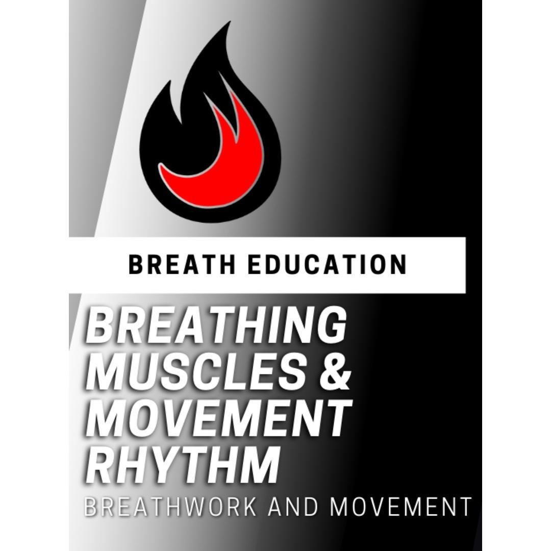 Breath Education - Breathing Muscles & Movement Rhythm