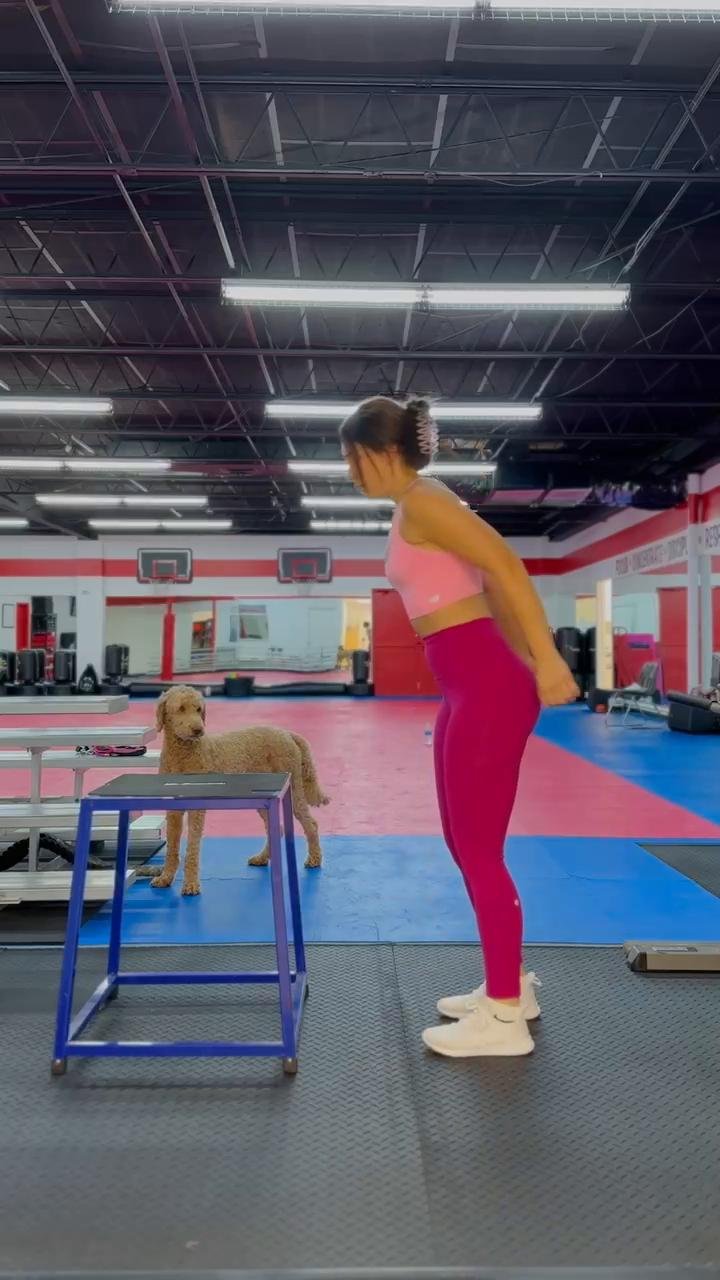Weighted Leg Day (intermediate)